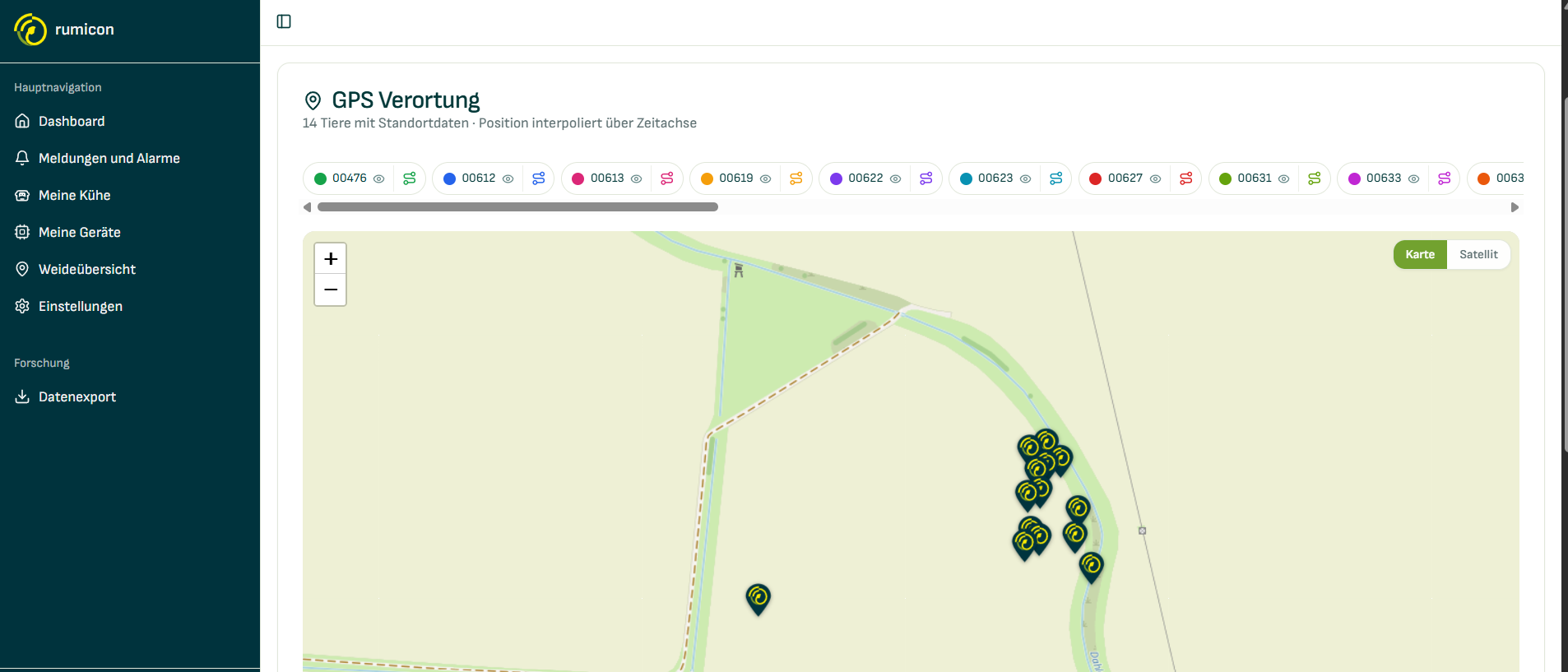 rumicon Portal auf dem Rechner mit GPS-Verortung der Rinder auf einer Karte