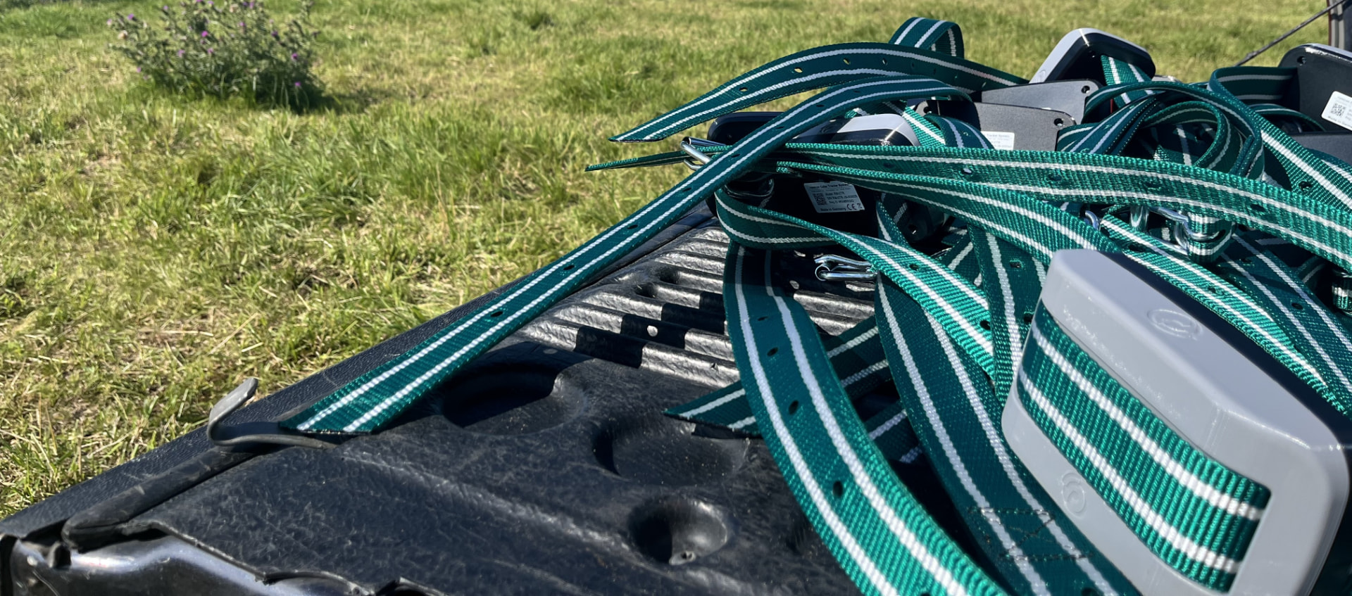 Mehrere rumicon GPS-Tracker mit grün-weißen Halsbändern bereit für den Weideeinsatz